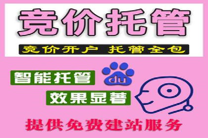 打造品牌影响力：百度竞价代理实战案例精选